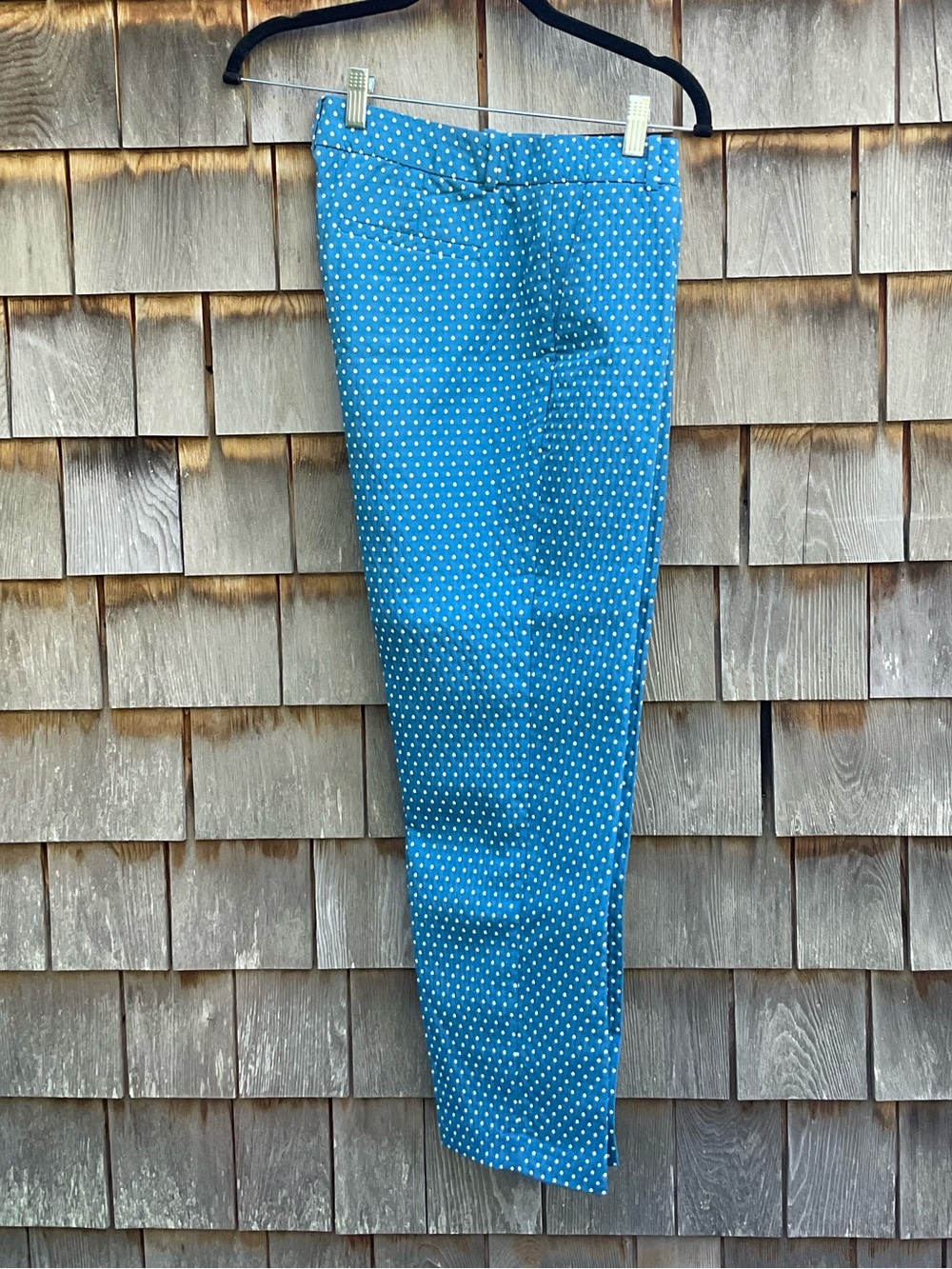 J. Crew Teal Blue Polka Dot Chinos